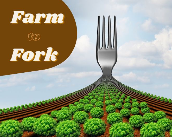 From Farm to Fork: The Journey of Food and Its Impact on the World!