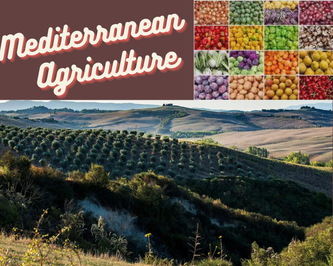 What is Mediterranean Agriculture? How it is Adapting to Change?