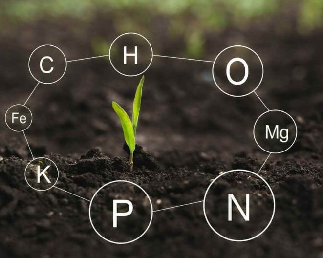 Soil health