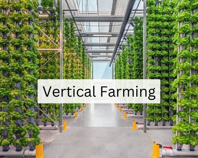 Unveiling the Future with a Vertical Planter in Urban Agriculture