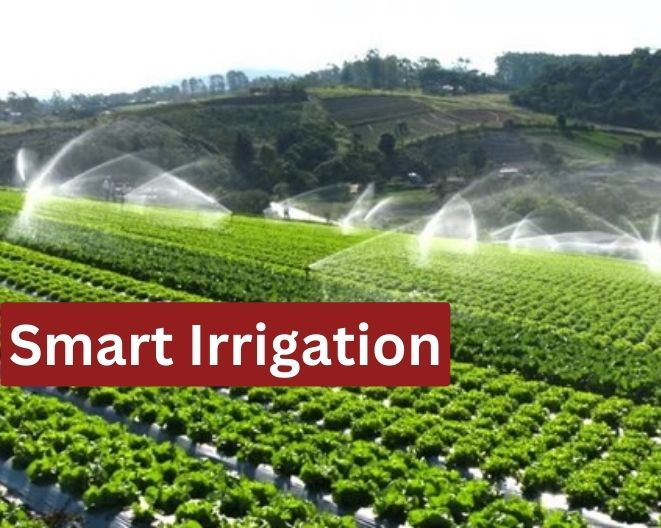 Smart Irrigation