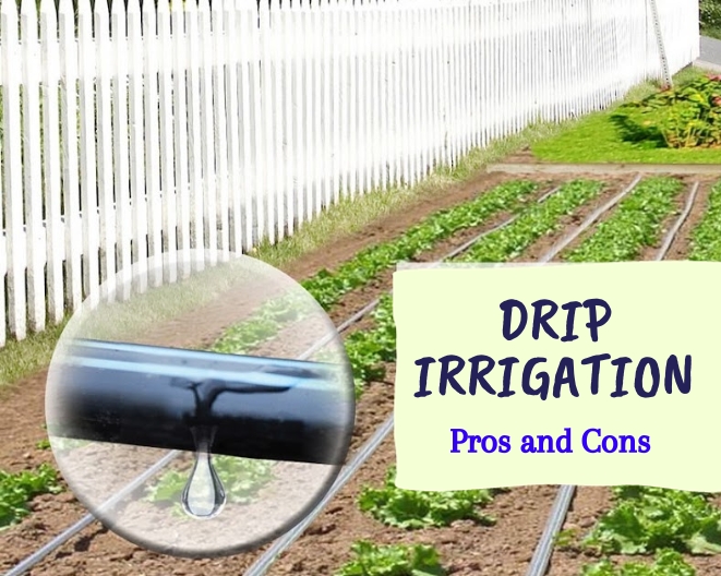 Drip Irrigation Pros and Cons: Is It Worth the Hype?