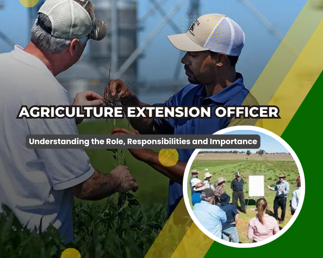 Agriculture Extension Officer: Roles, Responsibilities, and Importance in Farming Communities