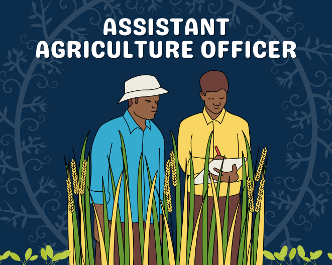 Assistant Agriculture Officer