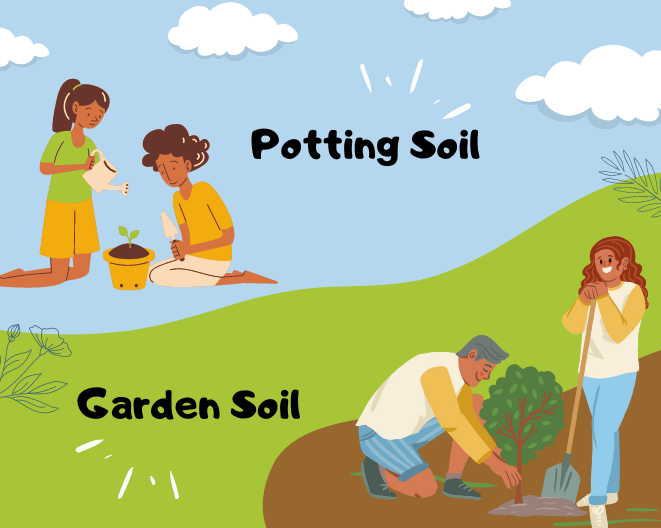 Potting Soil vs Garden Soil