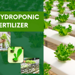 HYDROPONIC FERTILIZER