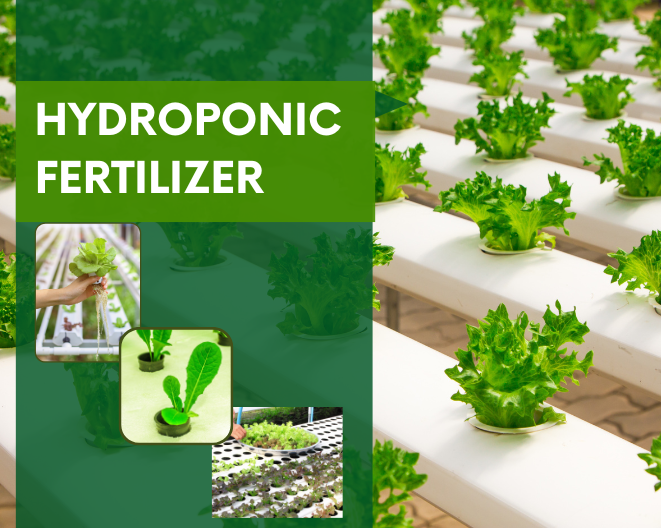 Hydroponic Fertilizer Demystified: Tips and Tricks for Gardeners