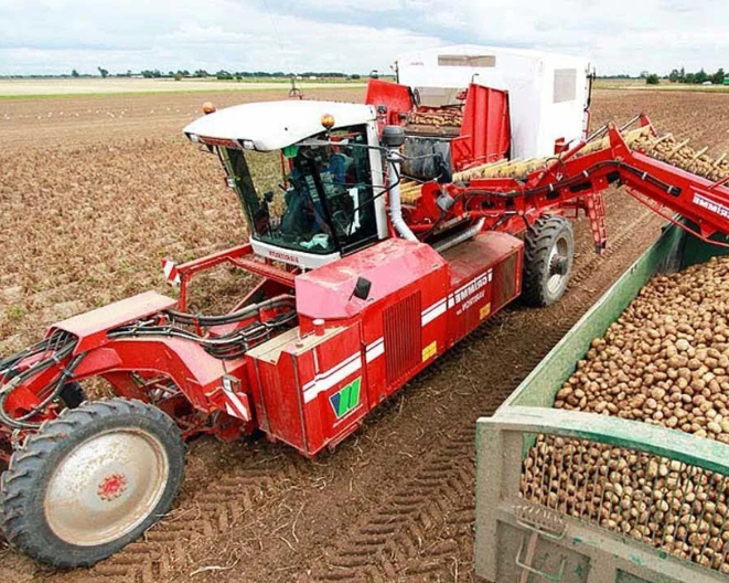 Rent or Buy? How to Decide on the Right Potato Harvester Investment