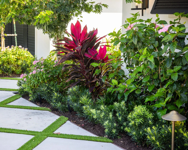 Low-Maintenance Tropical Plants for Busy Plant Lovers